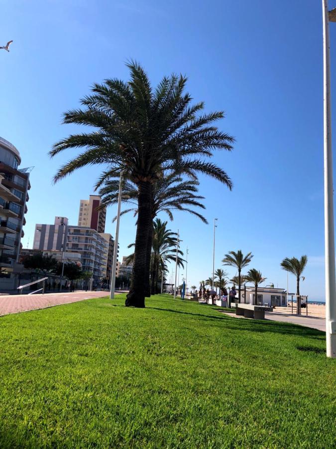 Apartamento Del Azahar Playa de Gandia Dış mekan fotoğraf